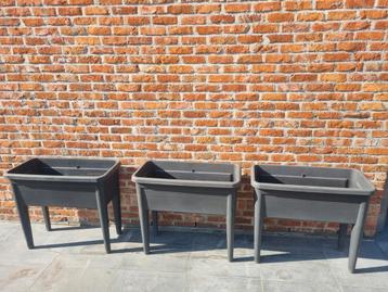 Moestuinbakken 3st beschikbaar voor biedingen