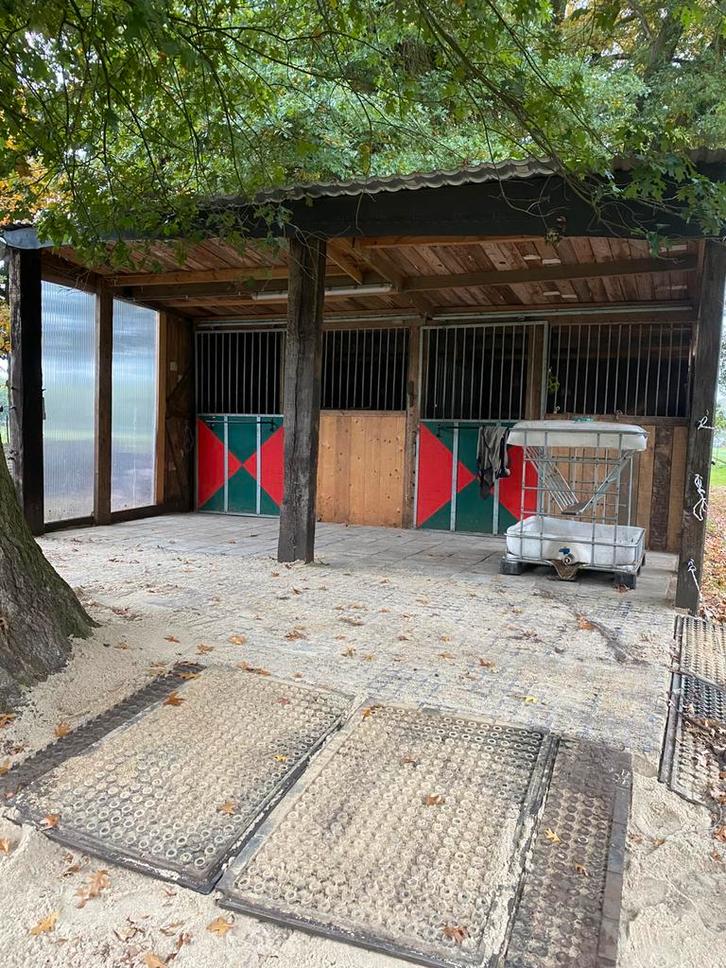 Per direct Stal beschikbaar, Dieren en Toebehoren, Stalling en Weidegang, Stalling, Weidegang, 1 paard of pony