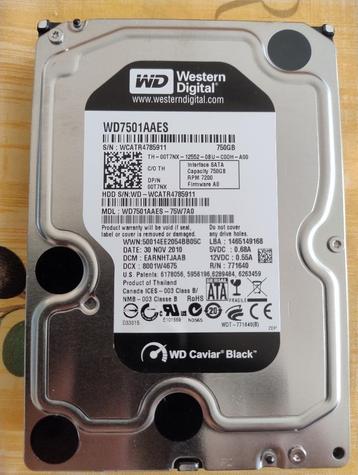 HDD 3,5" WD Caviar Black 760GB + Windows 10 pro beschikbaar voor biedingen