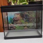 Klein Aquarium + aquariumtoebehoren gratis, Ophalen, Gebruikt