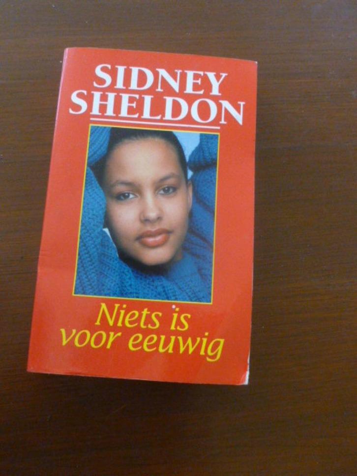 boek niets is voor eeuwig, Boeken, Romans, Zo goed als nieuw, Ophalen of Verzenden