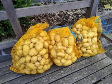 nieuwe aardappelen