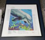 dolfijn diamond painting gemaakt 30op30 nieuw, Ophalen, Nieuw