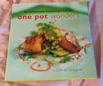 One pot wonders eenpansgerechten, Boeken, Ophalen of Verzenden, Conrad Gallagher