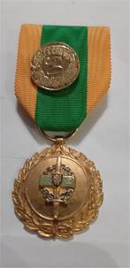 medaille : veteranen van het rijnleger ?, Verzamelen, Ophalen of Verzenden