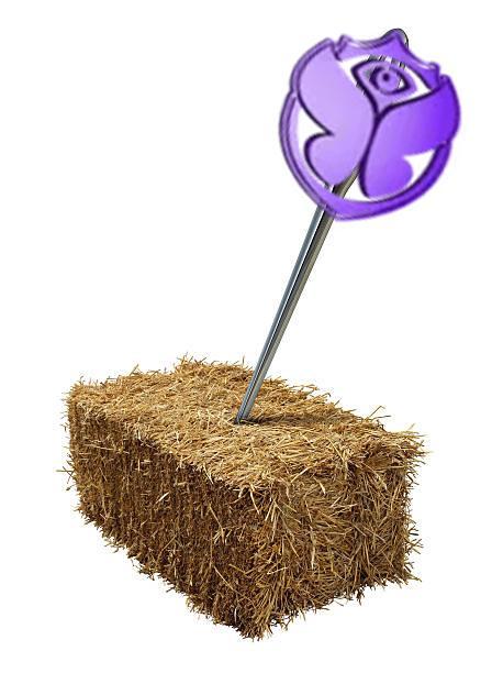 Tomorrowland: Wie helpt me aan een ticket?, Tickets en Kaartjes, Evenementen en Festivals, Eén persoon, Meerdaags