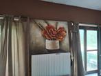 magnolia canvas, Ophalen