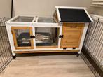 Konijnenhok + 2 mannelijke konijnen + eten en bodembedekker, Dieren en Toebehoren