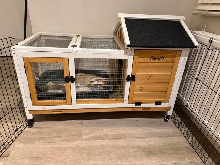 Konijnenhok + 2 mannelijke konijnen + eten en bodembedekker, Dieren en Toebehoren, Konijnen