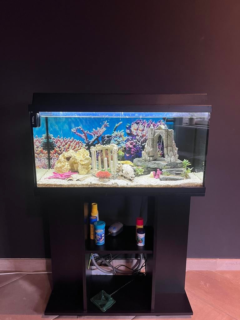Aquarum 110 liter met zwarte kast. 2 jaar oud, Ophalen, Zo goed als nieuw