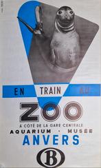 Vintage affiche Zoo Antwerpen - De zeeolifant, Verzamelen, Rechthoekig Staand, Deurposter of groter, Ophalen of Verzenden, Zo goed als nieuw