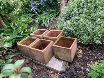 Pots de jardin carrés en terre cuite x 5