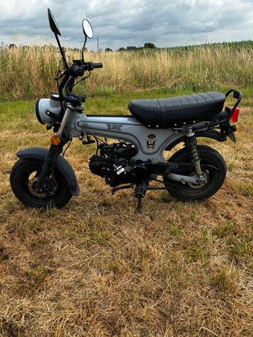 Dax bluroc 5.5l b klasse 2023, Enlèvement