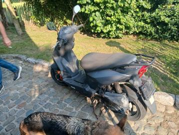 Sym tekoop beschikbaar voor biedingen