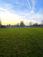 Weide te huur, Weidegang, 2 of 3 paarden of pony's