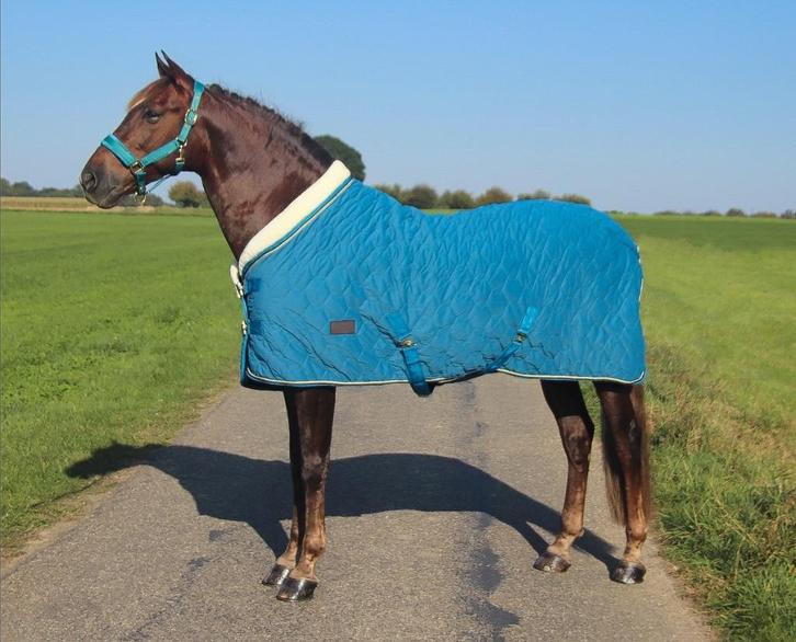 Profi-Rider Showdeken Velvet 100g Petrol 185 tm 205 SALE!, Dieren en Toebehoren, Paarden en Pony's | Dekens en Dekjes, Nieuw, Deken