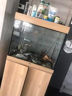 Aquarium, Zo goed als nieuw, Ophalen