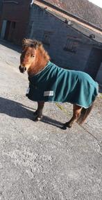 Poney, Animaux & Accessoires, Enlèvement, Comme neuf