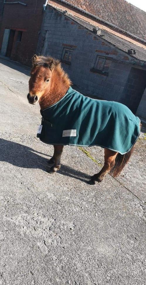 Poney, Animaux & Accessoires, Chevaux & Poneys | Autres trucs de cheval, Comme neuf, Enlèvement