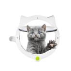 Kattenluik - Katten - Kitten - Luik