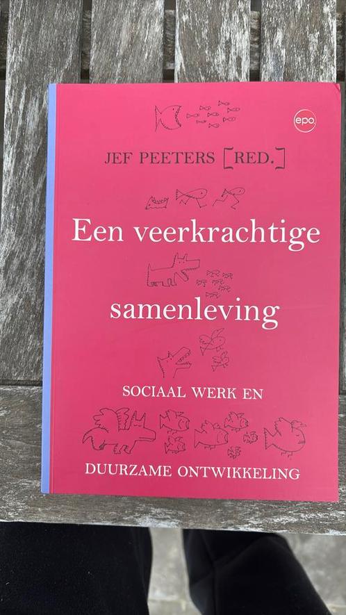 Een veerkrachtige samenleving, Boeken, Politiek en Maatschappij, Zo goed als nieuw, Ophalen of Verzenden