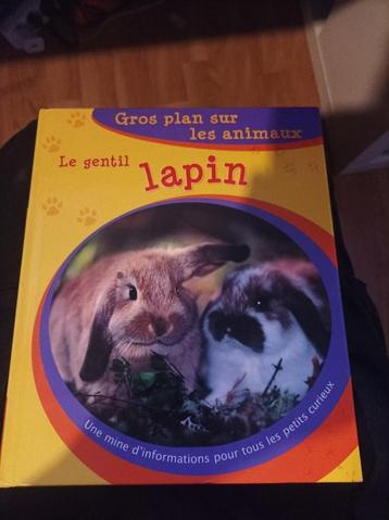 livres sur les lapins 