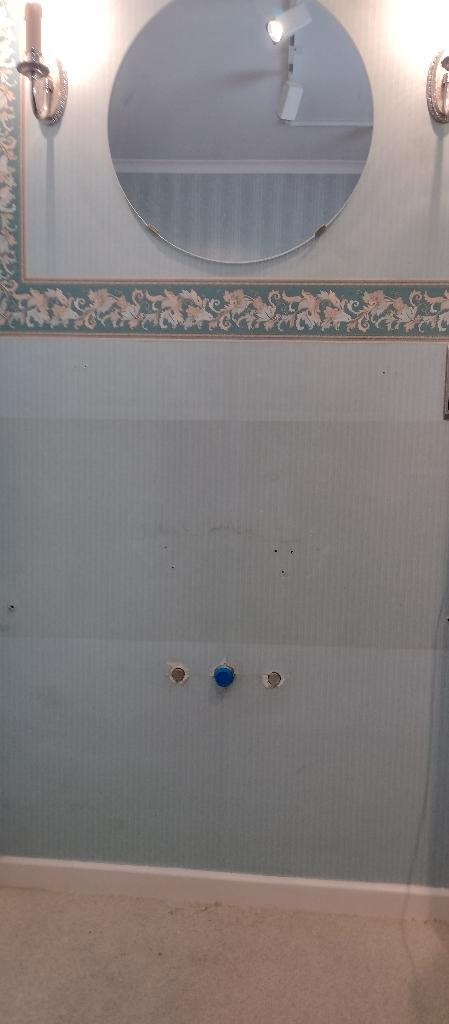 sanitair, Maison & Meubles, Accessoires pour la Maison | Vases, Verre, Enlèvement