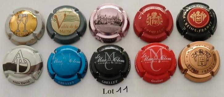 champagne capsules, Collections, Vins, Comme neuf, Champagne, France, Enlèvement ou Envoi