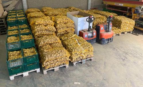 Aardappelen Bintje, Zakelijke goederen, Landbouw | Aardappelen, Groenten, Fruit en Vlees, Ophalen of Verzenden