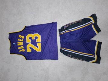 Lakers basketbal shirt (James 23) beschikbaar voor biedingen