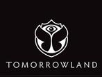 Tomorrowland tickets Magnificent greens, Tickets en Kaartjes, Drie personen of meer, Meerdaags