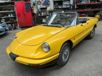 1985 Alfa Romeo Spider junior Voiture classique, Achat, Entreprise, Cabriolet, Occasion