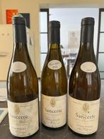 Sancerre Blanc, Frankrijk, Ophalen of Verzenden, Vol, Witte wijn