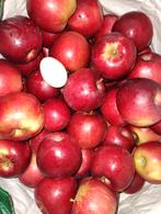 Lekkere rode appels, Diversen, Levensmiddelen, Ophalen