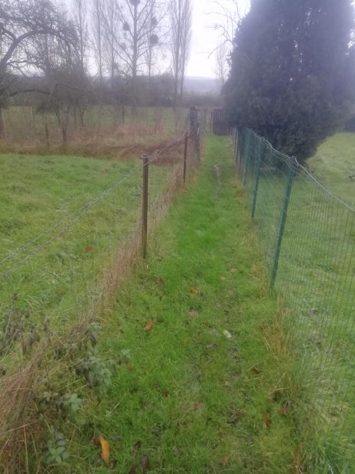 Verger à louer 678 m2 à Gimnée (Doische), Dieren en Toebehoren, Dierenvoeding, Vee, Ophalen of Verzenden