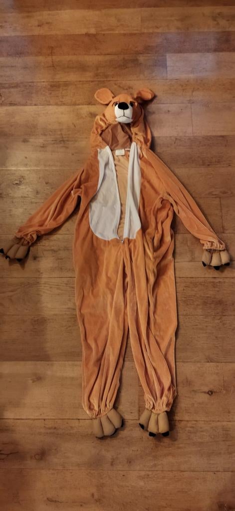 Carnavalspak hond/ninja turtle kind, Ophalen