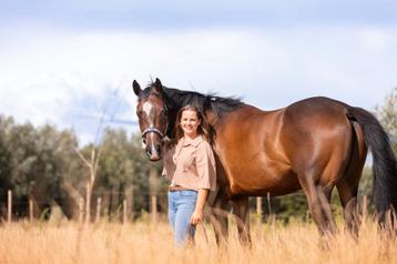Persoonlijke begeleiding met respect voor paard én ruiter  beschikbaar voor biedingen