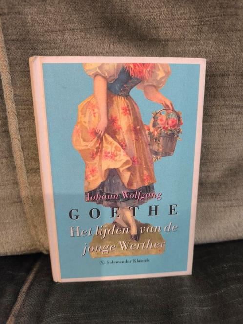 Het lijden van de jonge Werther.      (Goethe), Boeken, Literatuur, Zo goed als nieuw, Europa overig, Ophalen