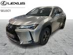 Lexus UX 250h BUSINESS LINE, SUV ou Tout-terrain, Hybride Électrique/Essence, Automatique, Achat