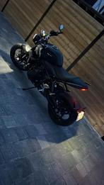 Triumph Trident 660 - mat black, Motoren, Handvatverwarming, 660 cc, 3 cilinders, Particulier