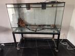 Terarium, Dieren en Toebehoren, Ophalen