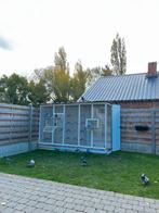 Duivenhok/duiventil, Dieren en Toebehoren, Ophalen, Zo goed als nieuw