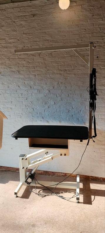 Professionele trimtafel beschikbaar voor biedingen