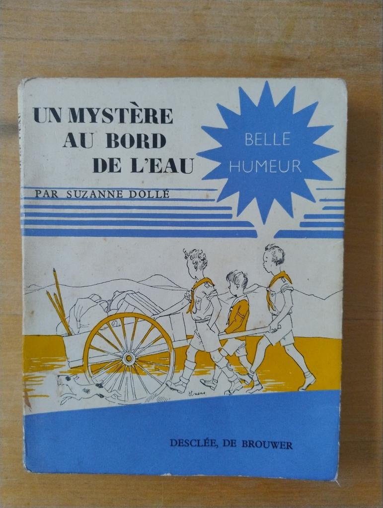 Un mystère au bord de l'eau Suzanne Dollé Desclée De Brouwer, Boeken, Humor