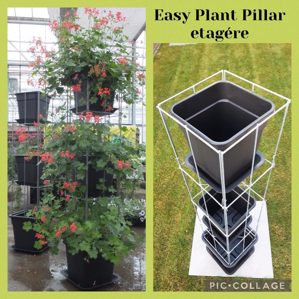 klimrekken draadrekken rek voor tuinplanten klimplanten, Vaste plant, Ophalen of Verzenden, Halfschaduw, Klimplanten