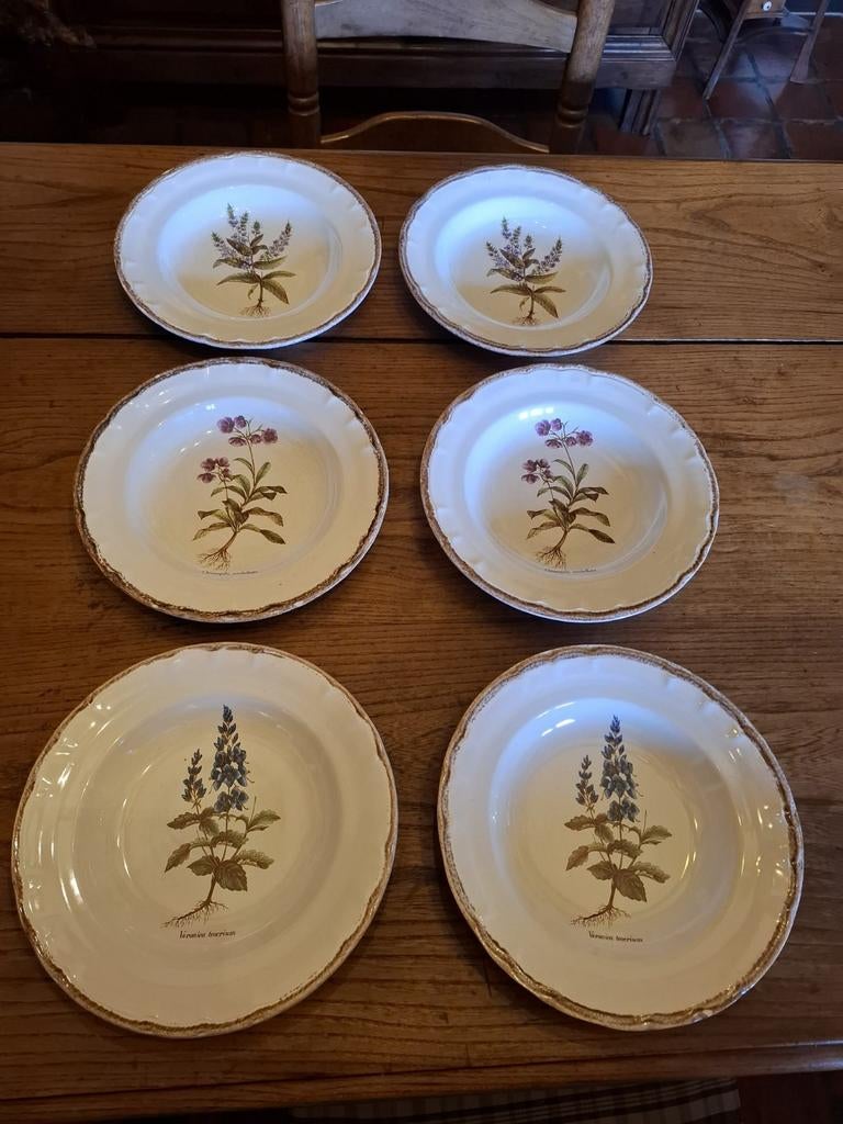 6 diepe borden Botanic FAÏENCE DE MOUSTIERS , Antiquités & Art, Enlèvement ou Envoi