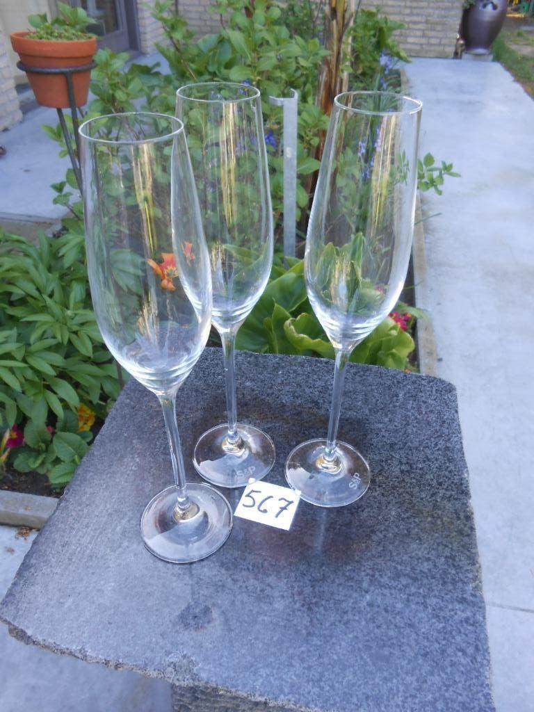 champagneglas Salt & Pepper H26,5cm Ø kelkvoet 6,5cm S&P, Ophalen of Verzenden, Nieuw, Overige typen