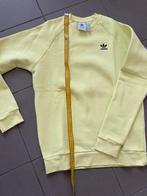 Pull pour homme, Enfants & Bébés, Vêtements enfant | Taille 140, Enlèvement ou Envoi, Neuf