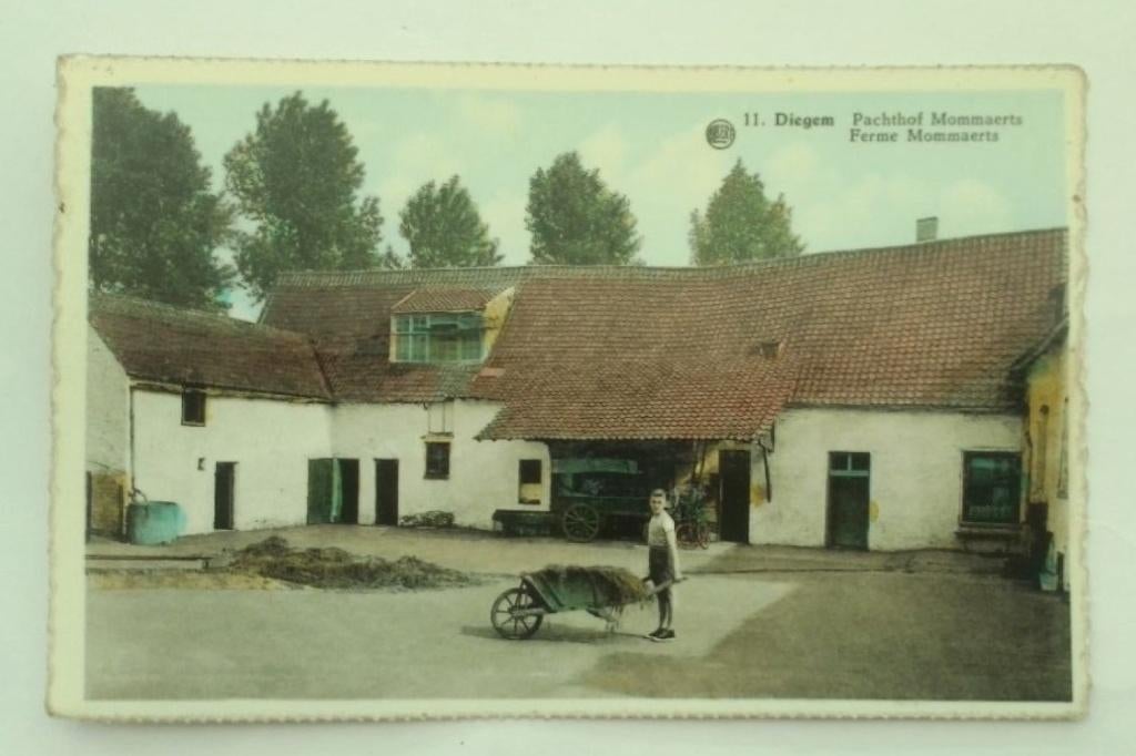 DIEGEM PACHTHOF MOMMAERTS, Verzenden, 1940 tot 1960, Ongelopen, Vlaams-Brabant