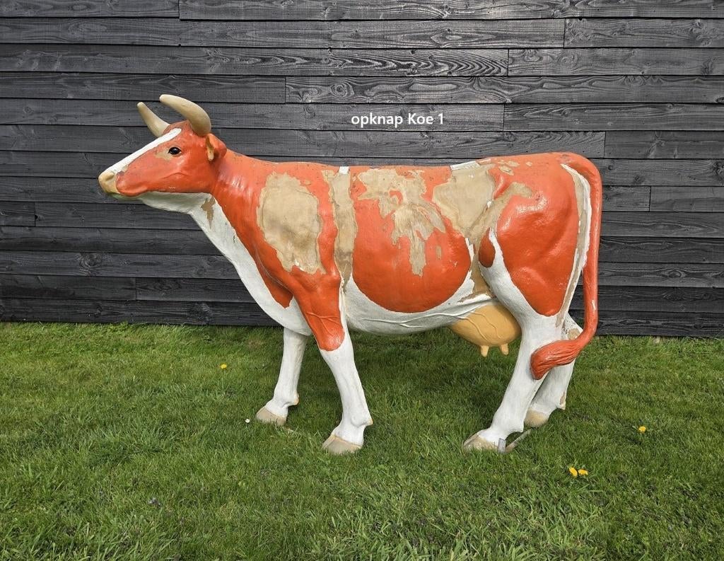 koe ... 1 koe opknapper, Tuin en Terras, Tuinbeelden, Ophalen
